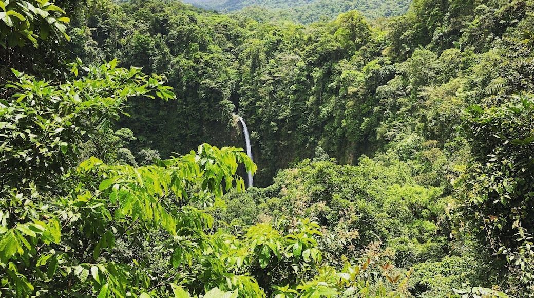 A refreshing waterfall in the middle of the volcanic jungle in Costa Rica. Only 500 steps down to swim and enjoy the water. There is a $15 entrance fee but its worth it. #LifeAtExpedia