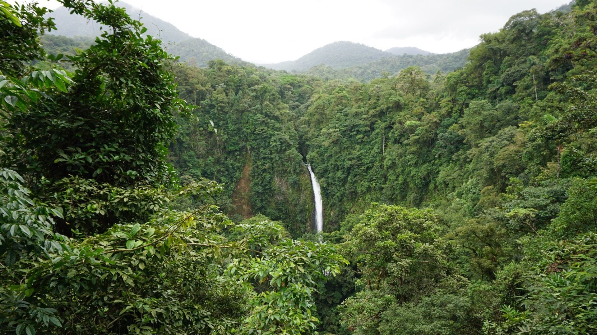 At the top of the stairs to the La Fortuna Waterfall... Short walk & totally worth it & you can go in the water & it's rad. #waterfall #costarica #hiking