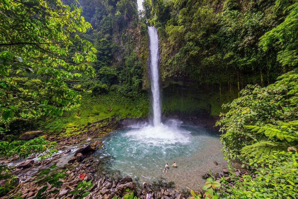 A waterfall in a lush green forest with clear water at the base.