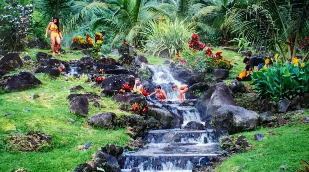 Beautiful oasis in the Costa Rican rain forest with a perfect view of the Arsenal volcano - however, was terribly overrun with tourists.