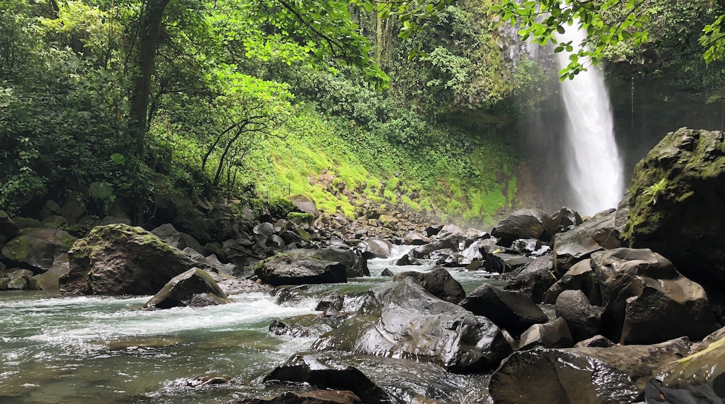 Pura Vidađ Costa Rica = land of waterfalls:)
#life #culture