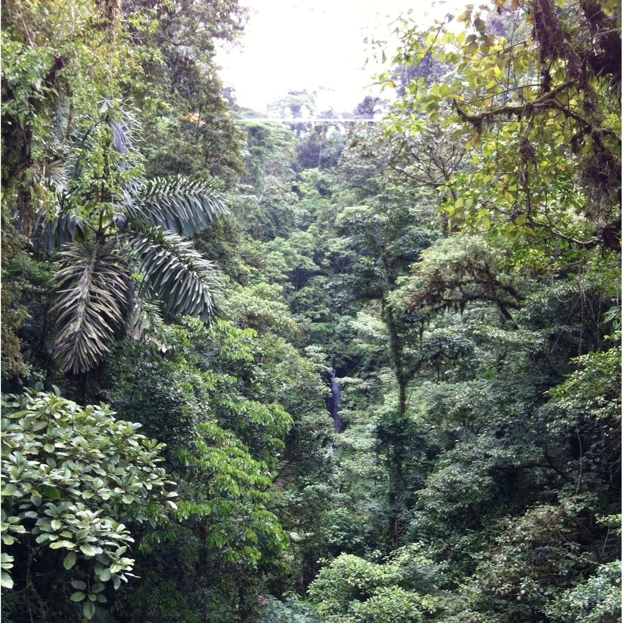 The view of the waterfall and waterfall bridge from the middle of the Anthill Bridge. The Waterfall Bridge can be seen at the top of the picture. 