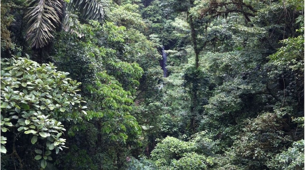The view of the waterfall and waterfall bridge from the middle of the Anthill Bridge. The Waterfall Bridge can be seen at the top of the picture.
