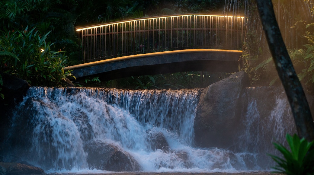 Tabacon Natural Hot Springs Bridge in La Fortuna, Costa Rica I