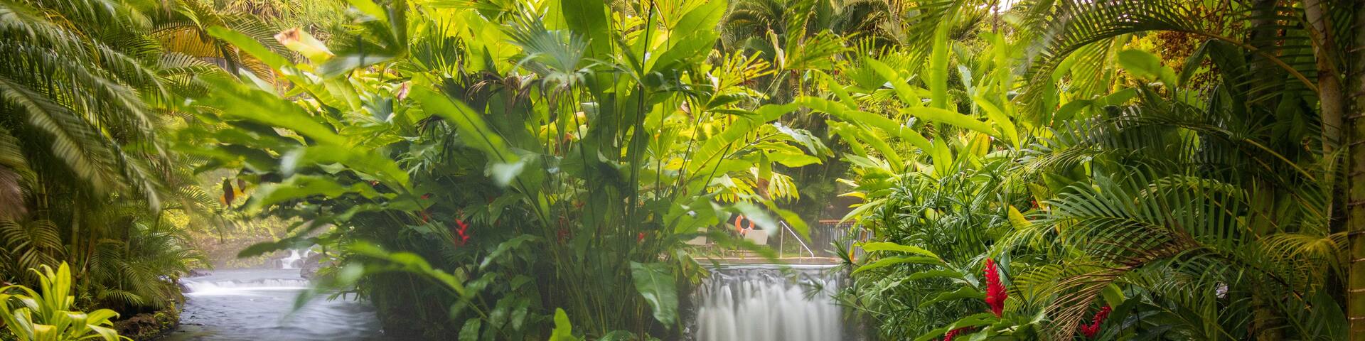 A waterfall in a lush green forest with a person sitting at the base.