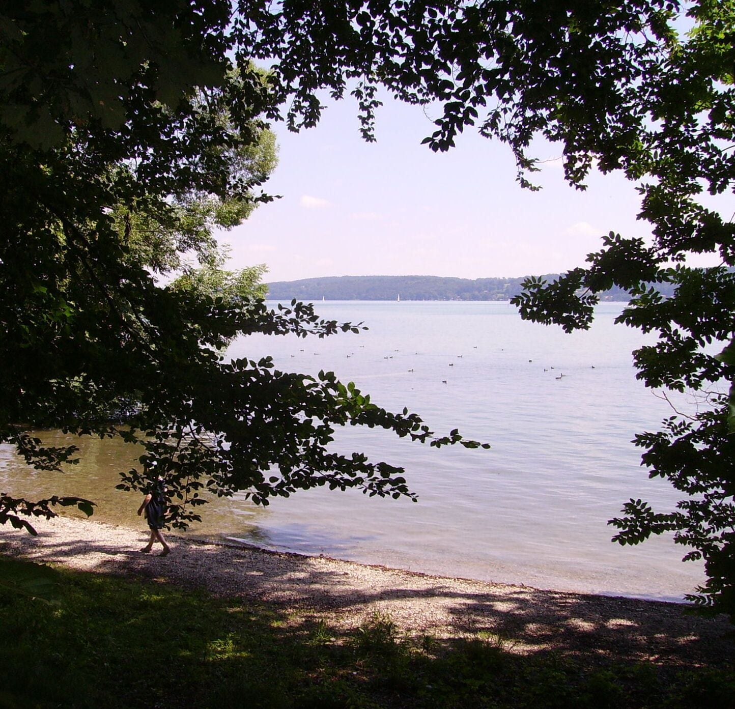 Blick auf den Starnberger See