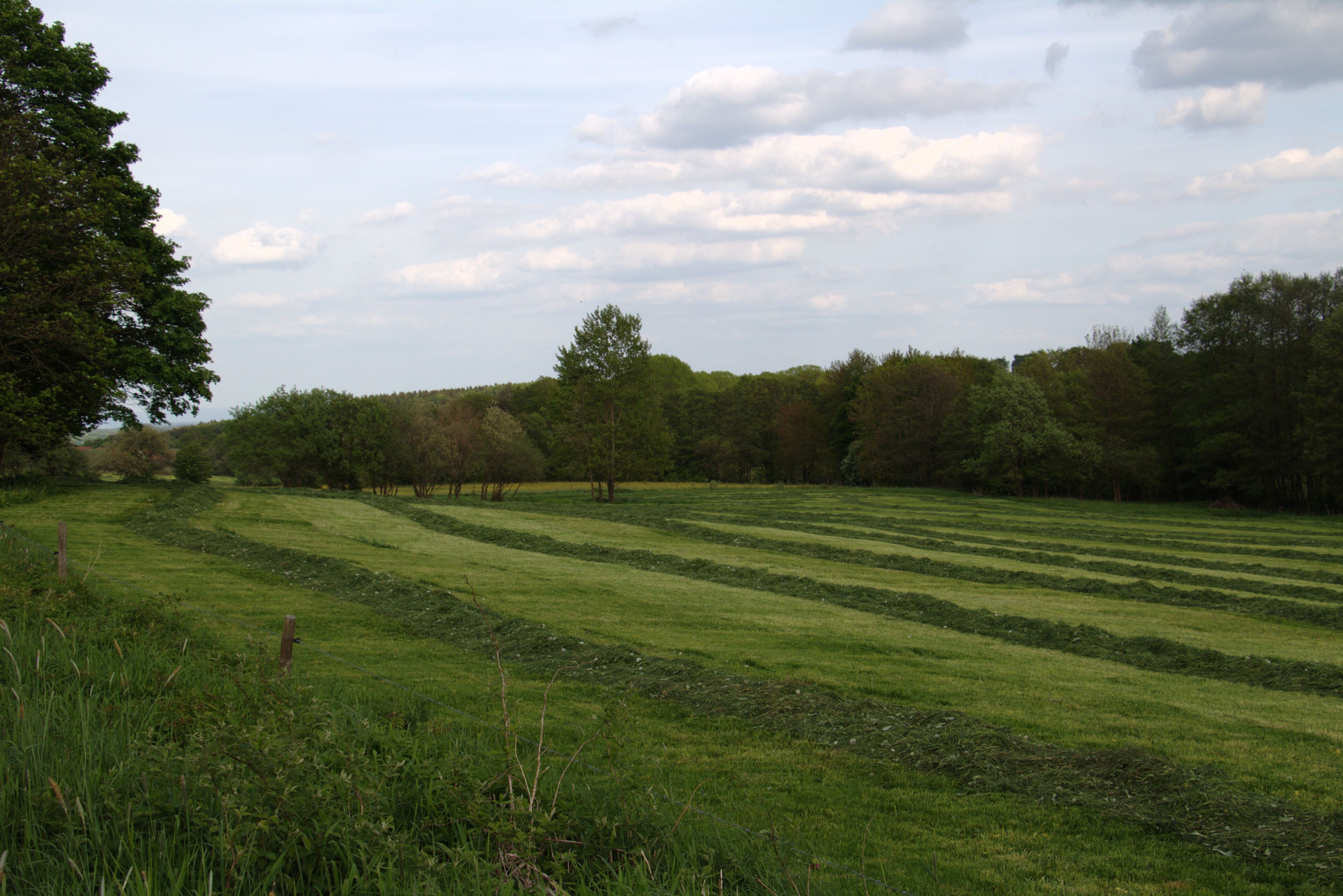 Haymaking in Lanzenhain, Herbstein, Hesse, Germany