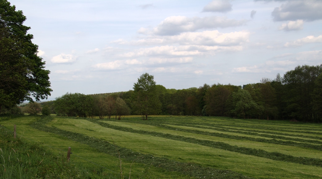 Haymaking in Lanzenhain, Herbstein, Hesse, Germany