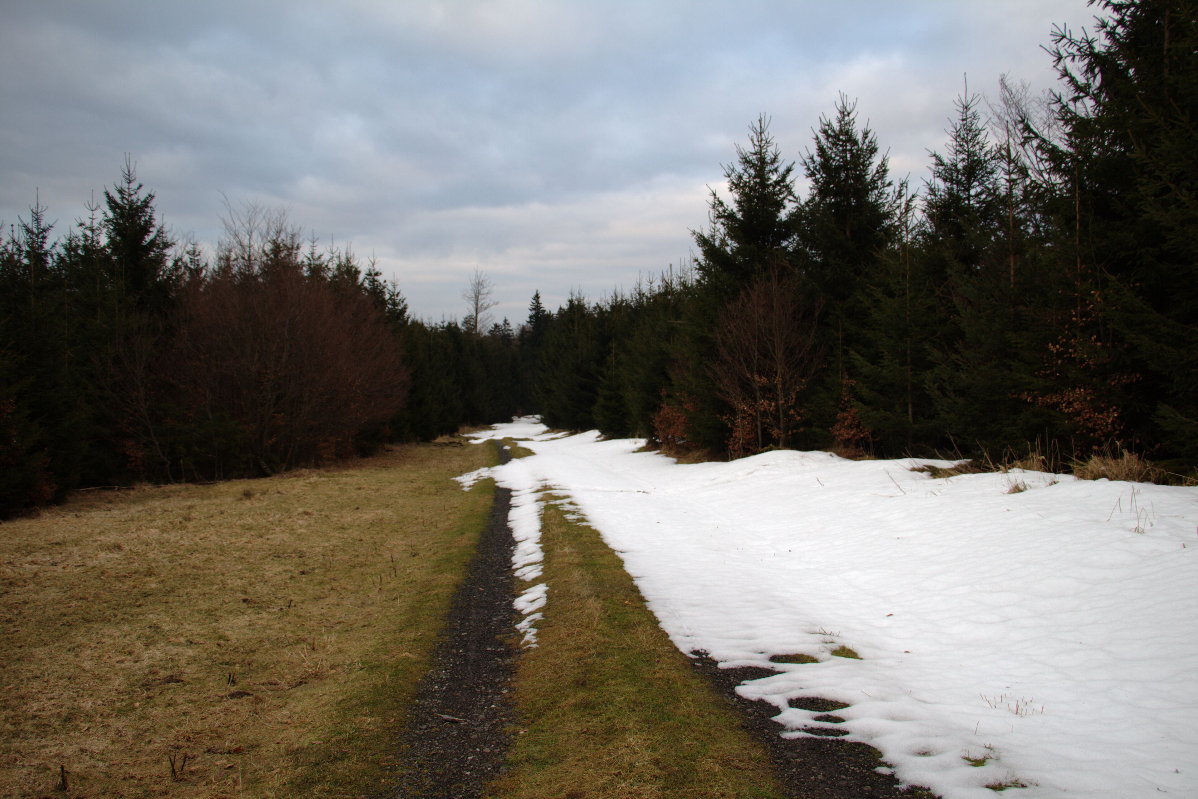 Snowmelt (remnant of a snowdrift) Oberwald near Lanzenhain, Herbstein, Hesse, Germany