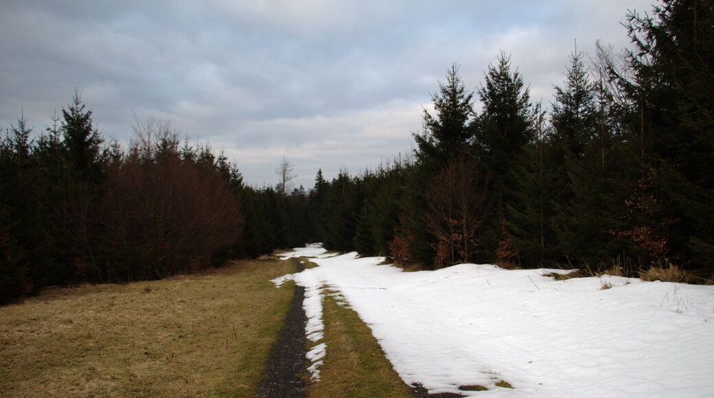 Snowmelt (remnant of a snowdrift) Oberwald near Lanzenhain, Herbstein, Hesse, Germany