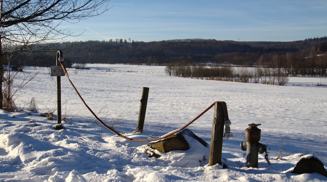 Standpipe/water crane (livestock drinking water) for water trailers near Herbstein, Herbstein, Hesse, Germany
