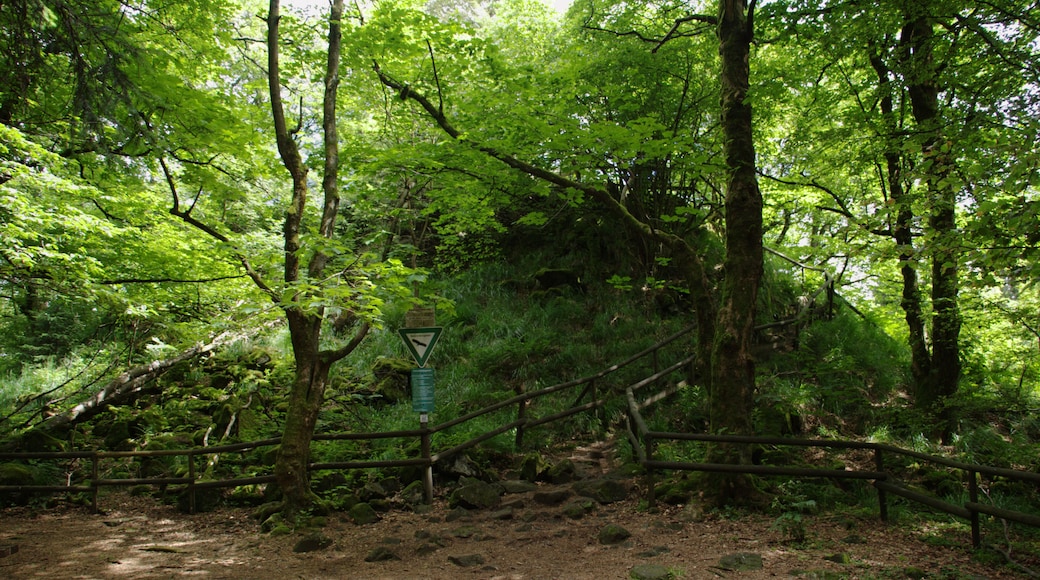 This is a picture of the protected area listed at WDPA under the ID