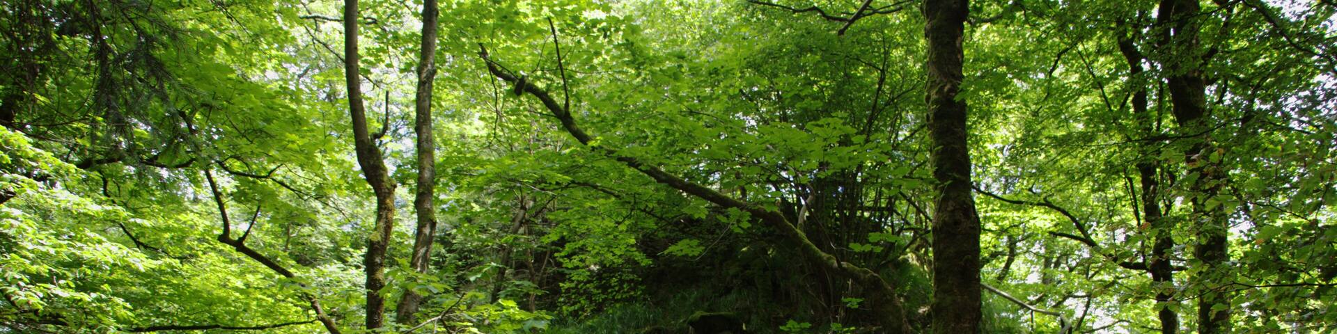 This is a picture of the protected area listed at WDPA under the ID