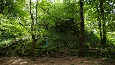 This is a picture of the protected area listed at WDPA under the ID