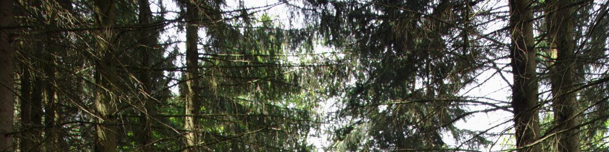 This is a picture of the protected area listed at WDPA under the ID