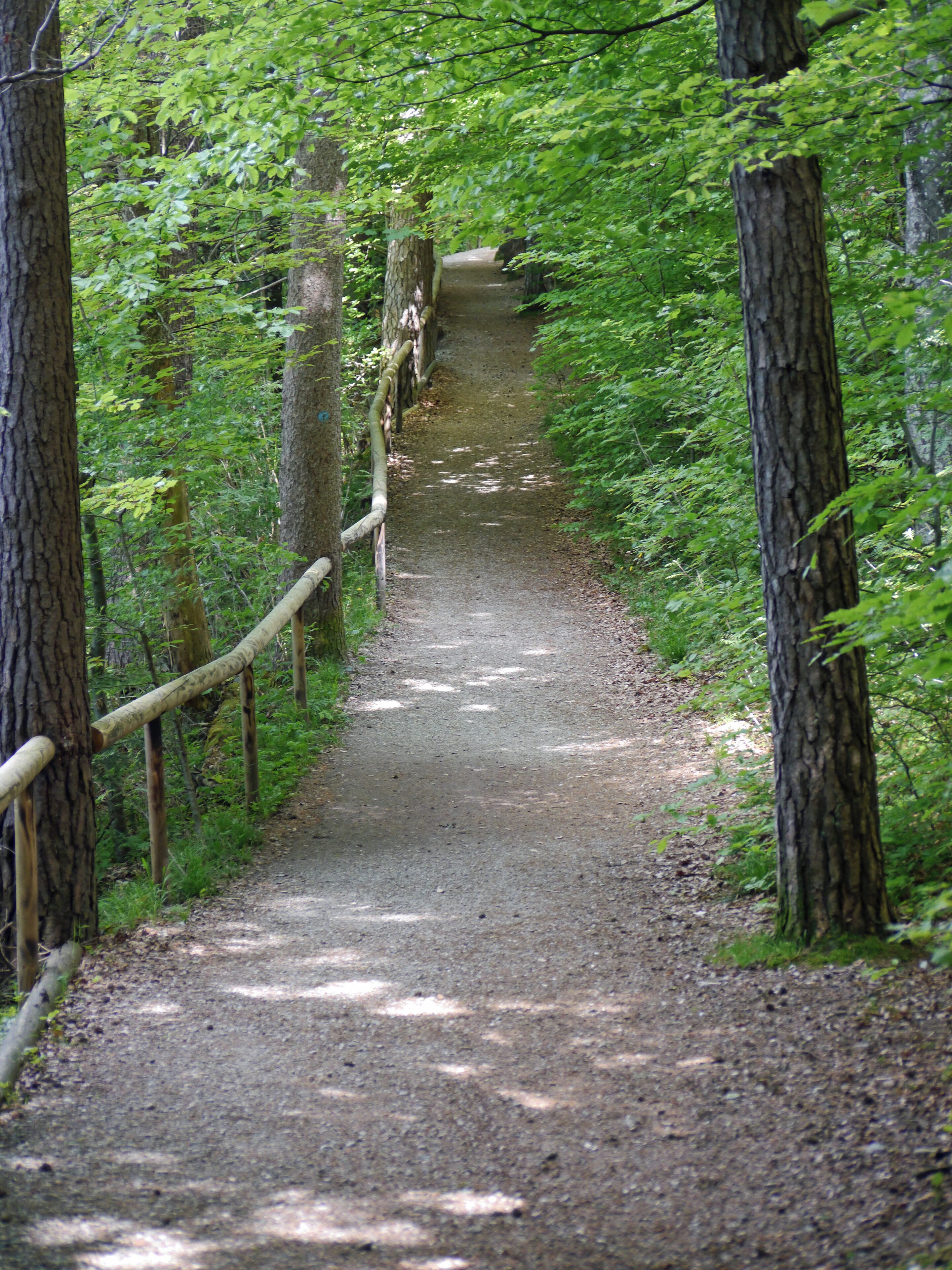 Naturschutzgebiet Eggstätt-Hemhofer-Seenplatte, Landkreis Rosenheim, nordwestlich des Chiemsees, Gemeinde Eggstätt: Hartsee-Rundweg