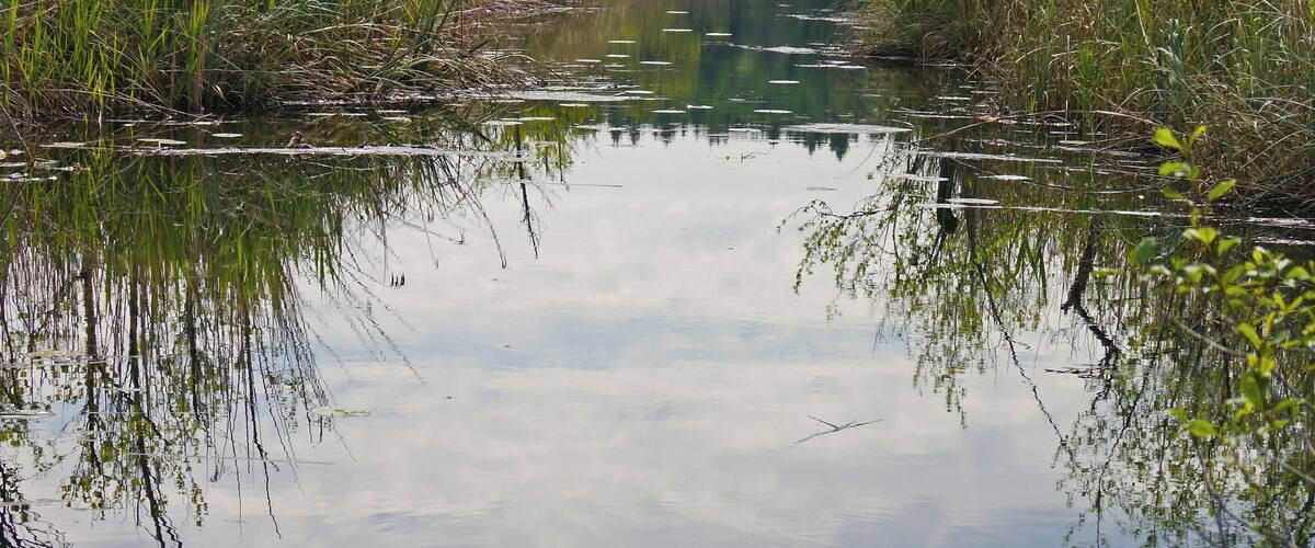 Naturschutzgebiet Eggstätt-Hemhofer-Seenplatte, Landkreis Rosenheim, nordwestlich des Chiemsees, Gemeinde Eggstätt: Blick auf Kanal zwischen Hartsee und Kautsee