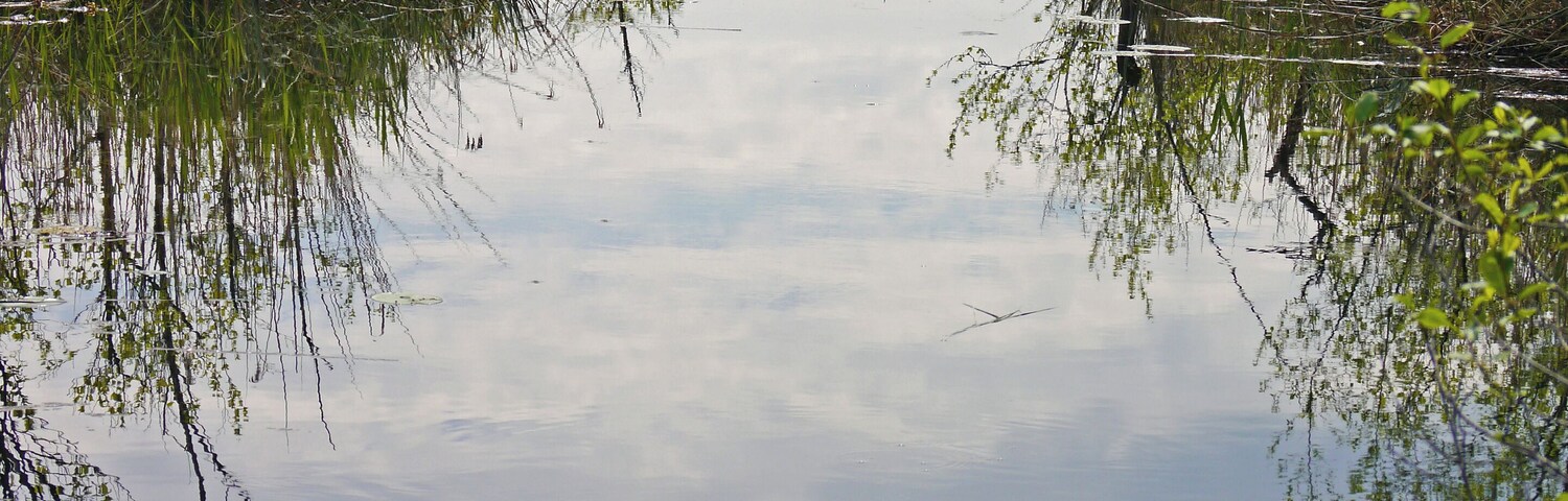 Naturschutzgebiet Eggstätt-Hemhofer-Seenplatte, Landkreis Rosenheim, nordwestlich des Chiemsees, Gemeinde Eggstätt: Blick auf Kanal zwischen Hartsee und Kautsee