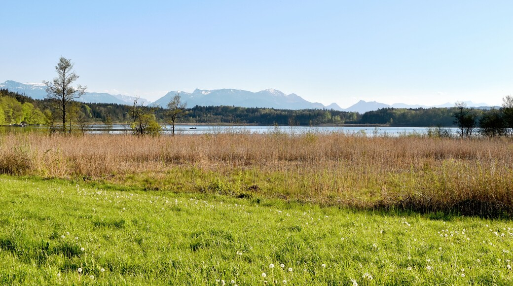 Eggstätter Seen - Langenbürgener See