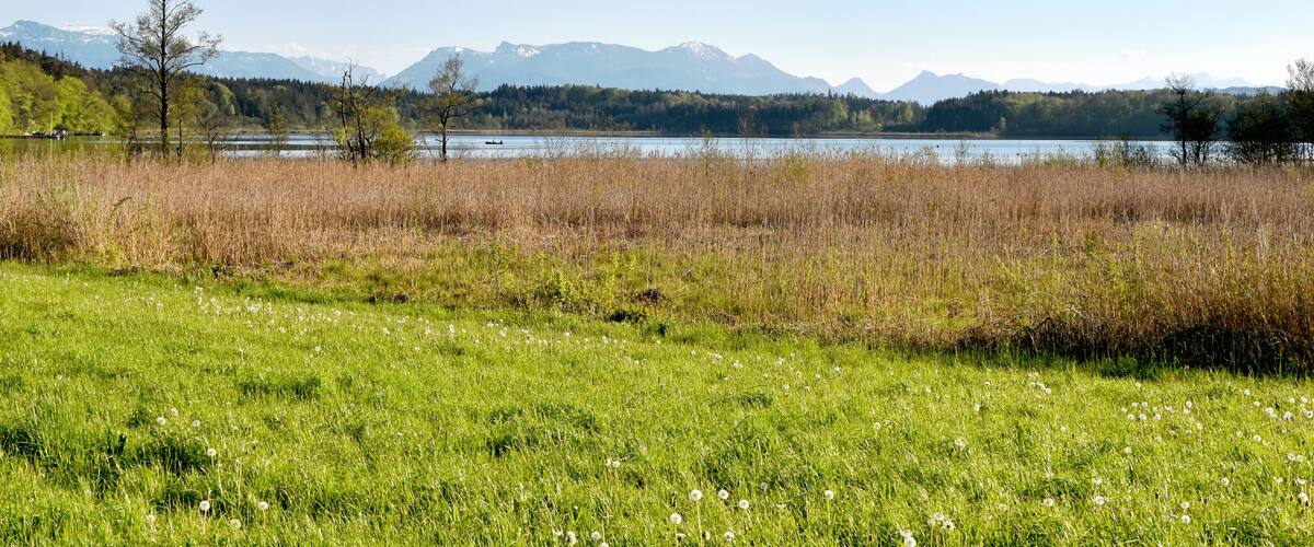 A grassy field with a lake and mountains in the background.