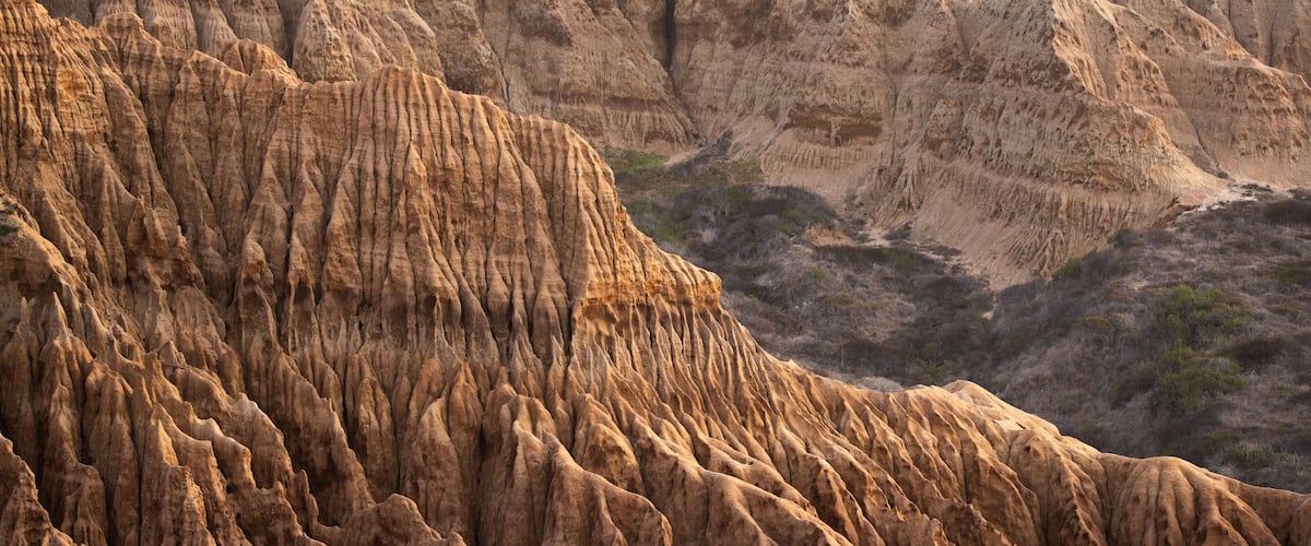 Torrey Pines State Reserve