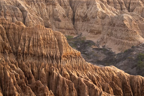 Torrey Pines State Reserve