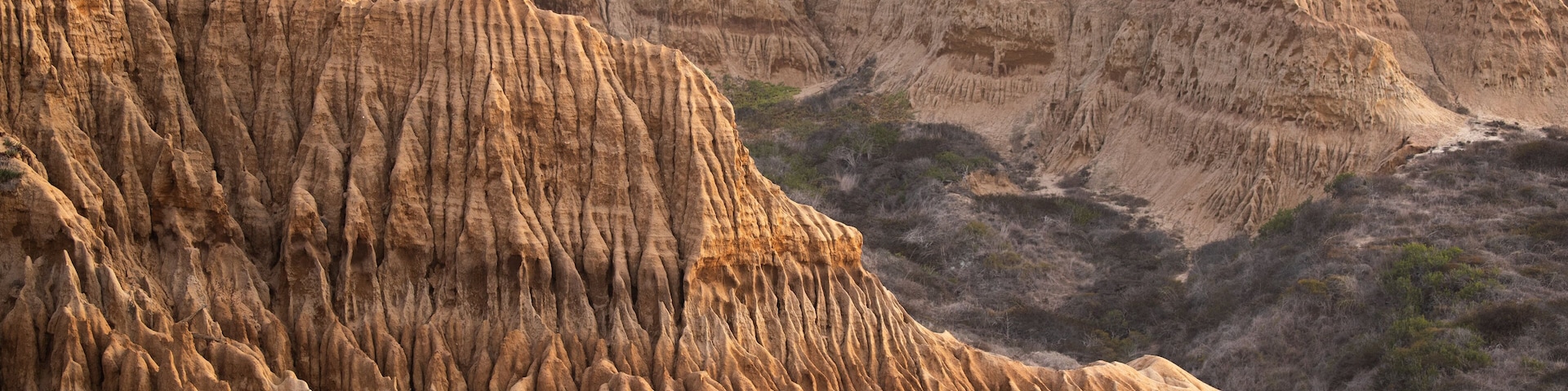 Torrey Pines State Reserve