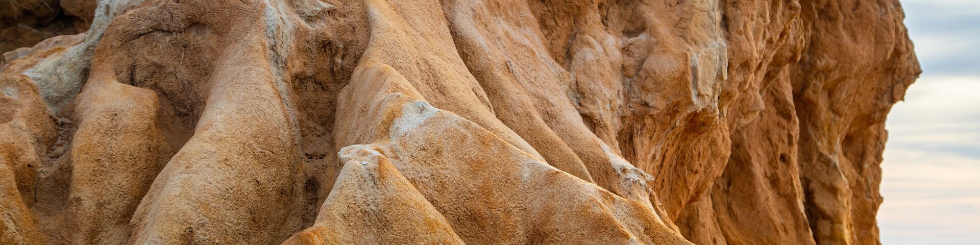 Torrey Pines State Reserve