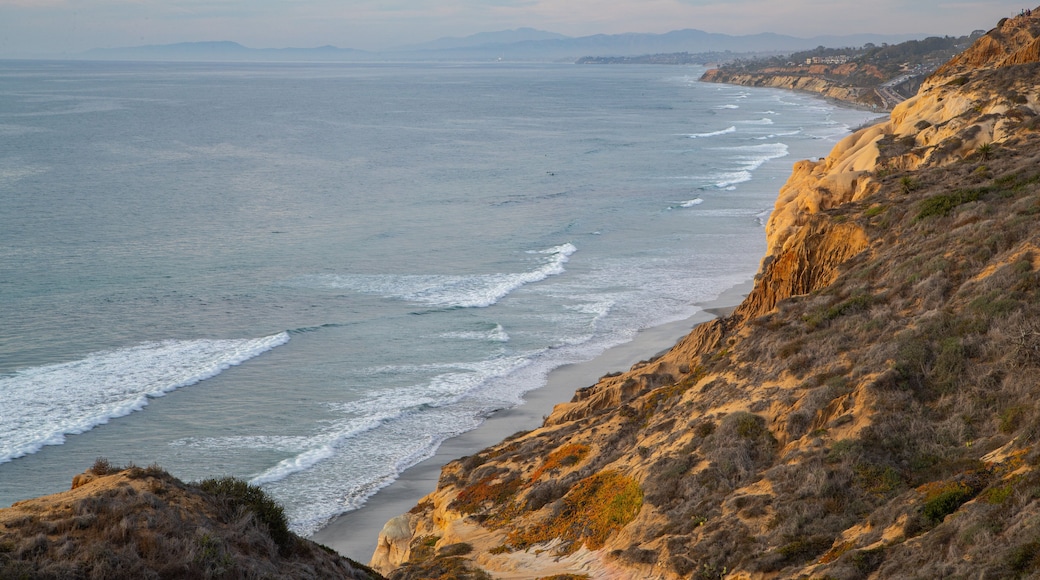 Torrey Pines State Reserve