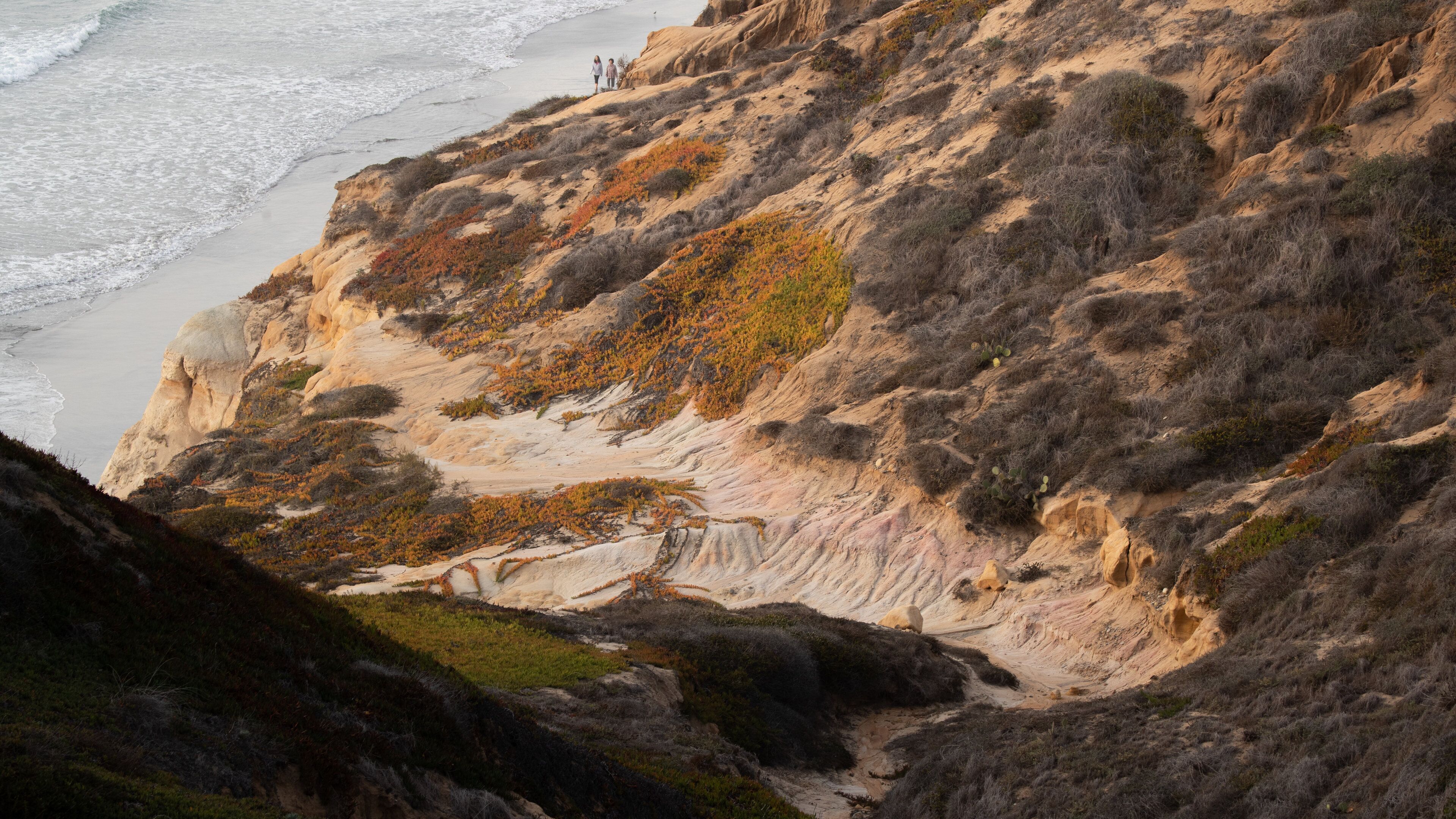 Torrey Pines State Reserve