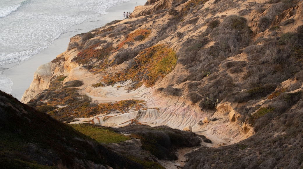 Torrey Pines State Reserve