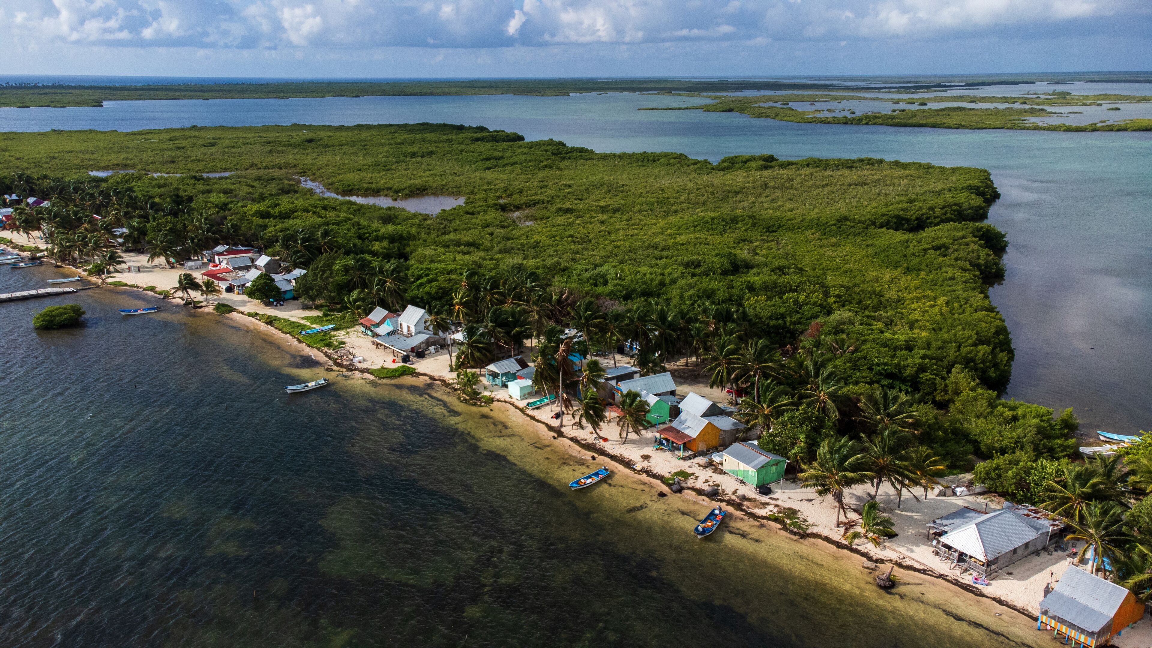A coastal village with small houses, boats, and dense mangrove forests.