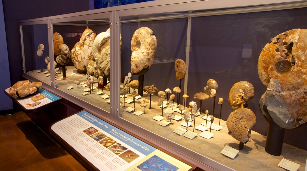 San Diego Natural History Museum presenterar interiörer och historiska element