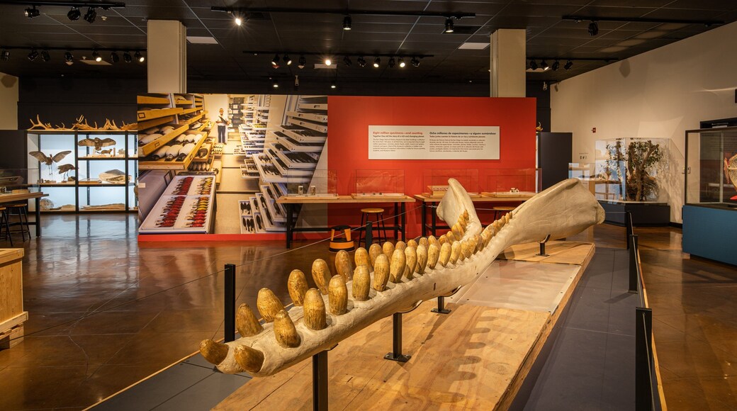 San Diego Natural History Museum