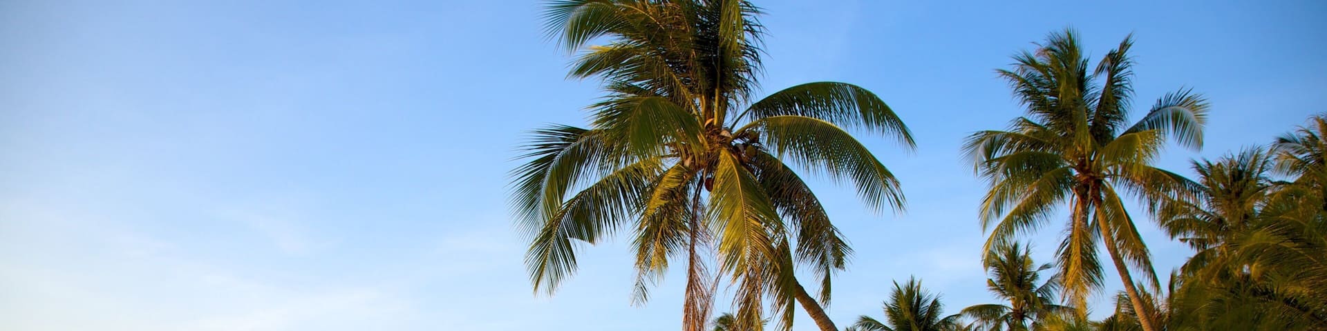 Spiaggia di Phu Quoc caratteristiche di spiaggia e paesaggio tropicale