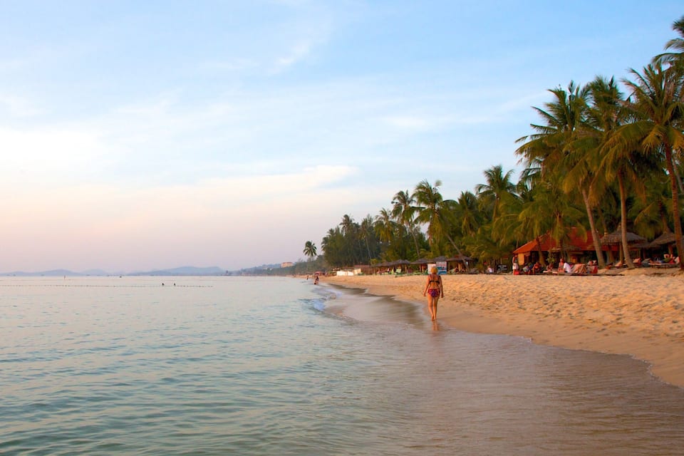 A beach with palm trees and a calm sea.