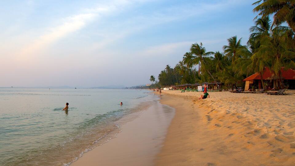 A beach with palm trees, a sandy shore, and a calm sea.