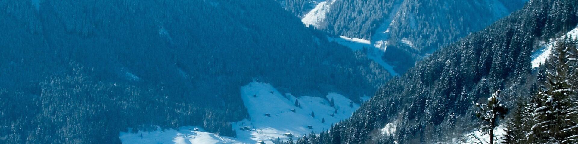 ヒンタートゥクス グレーシャー スキー リゾート 表示 雪 と 山々