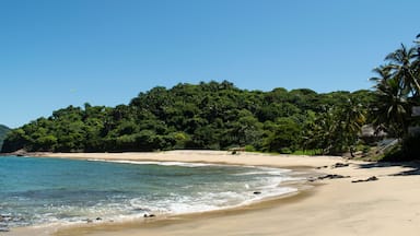 Lo de Marcos