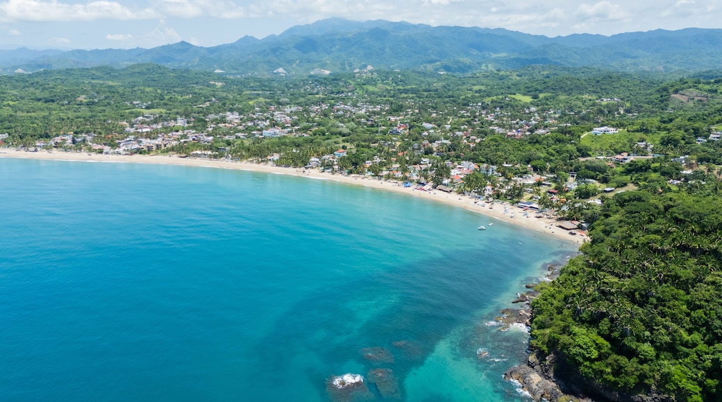 ๋ผ ํ๋ํ ๋ฐ ํ ํ
๋ฐ