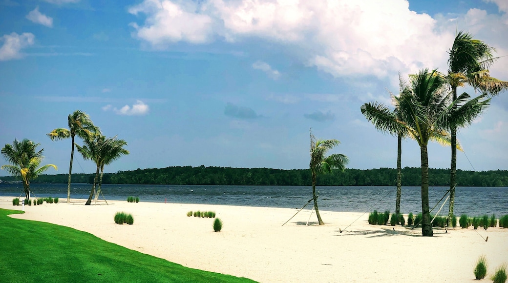 Signature hole that faces the sea