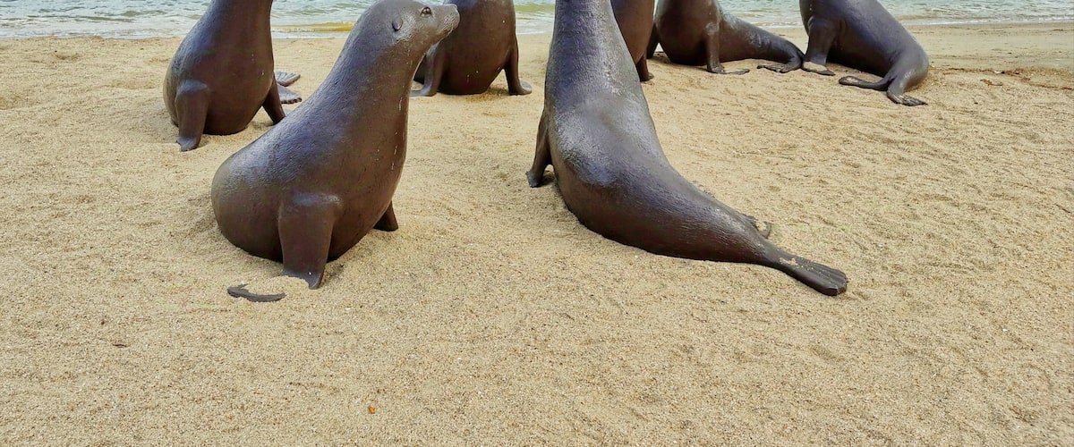 A group of sea lions on a sandy beach with a calm sea and industrial structures in the background.