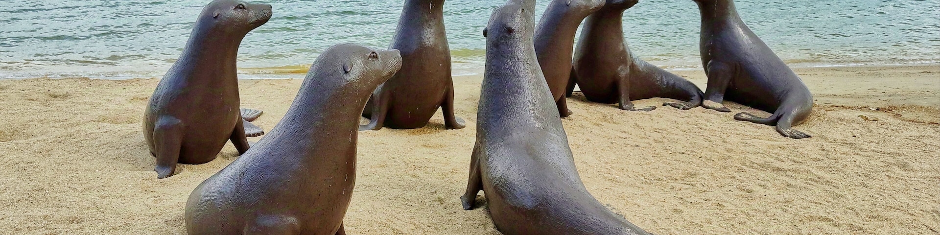 A group of sea lions on a sandy beach with a calm sea and industrial structures in the background.