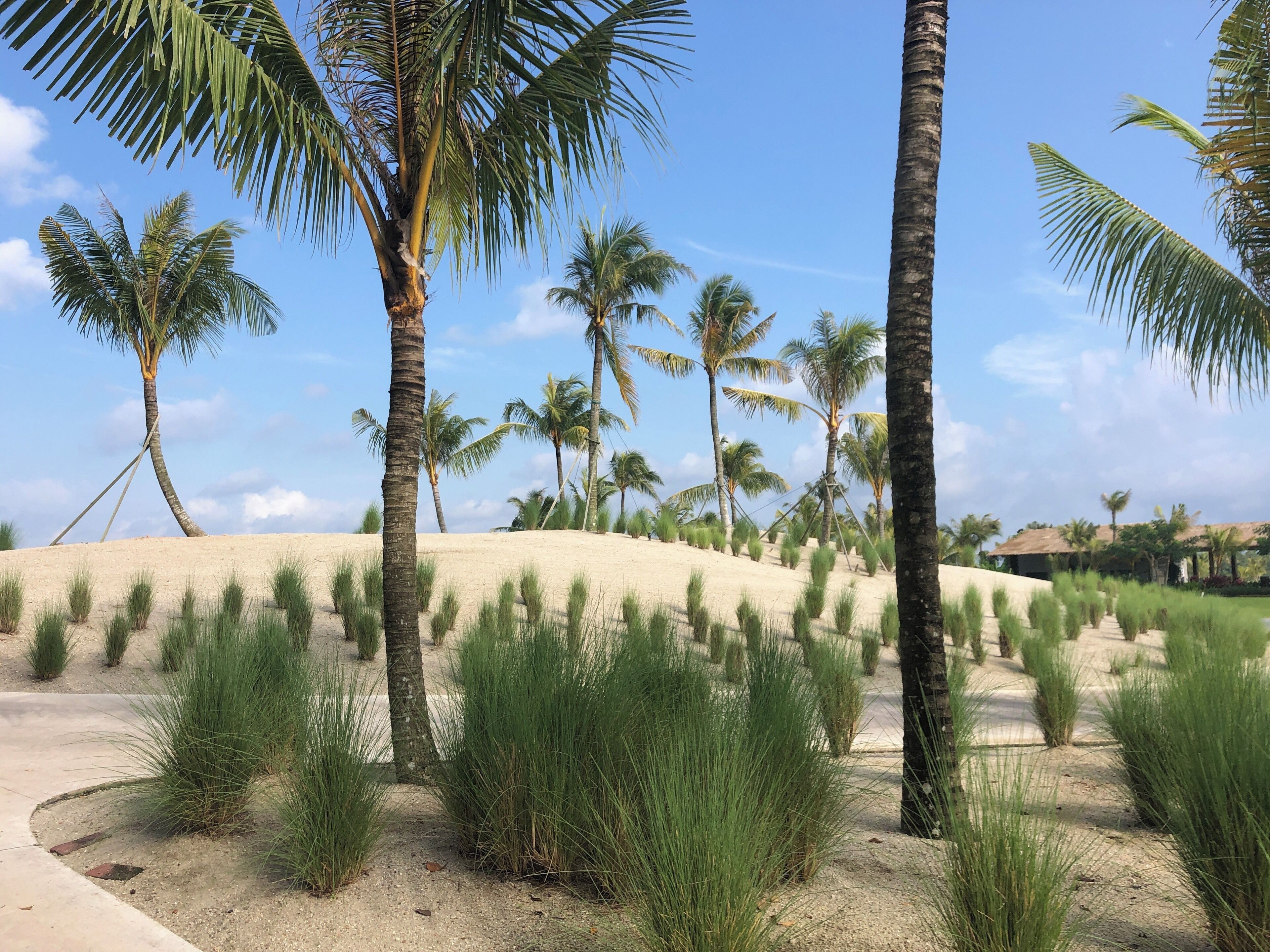 One of the relative new Golf courses in JB, Malaysia