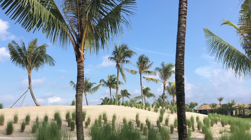 One of the relative new Golf courses in JB, Malaysia