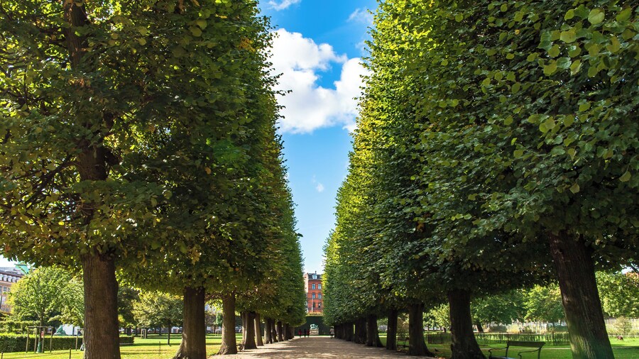 Copenhagen_RosenborgCastleGardens_6230505_02