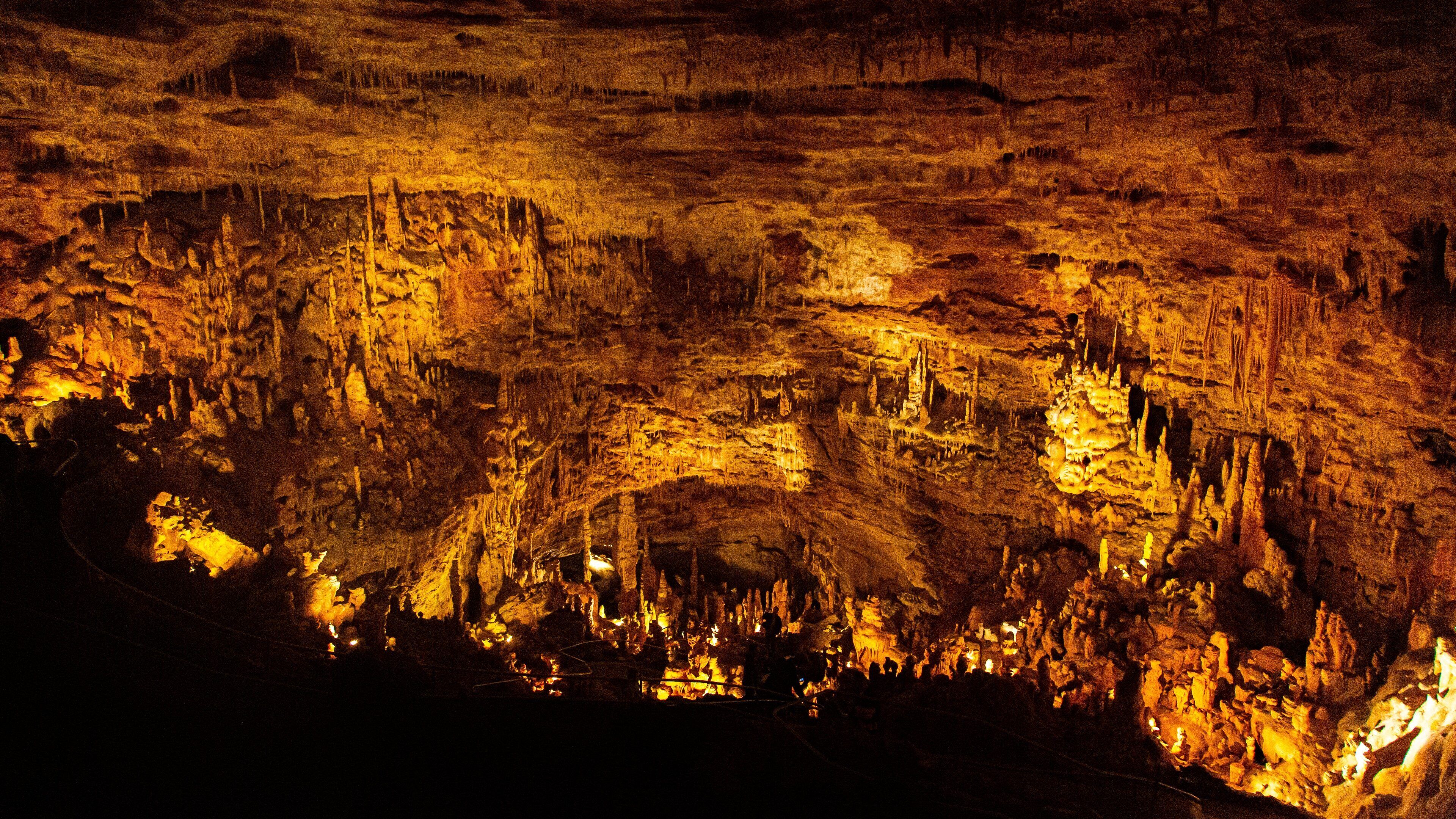 Natural Bridge Caverns which includes caves