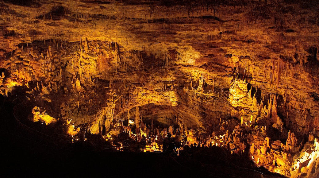 Natural Bridge Caverns which includes caves