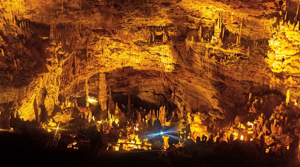 Natural Bridge Caverns which includes caves
