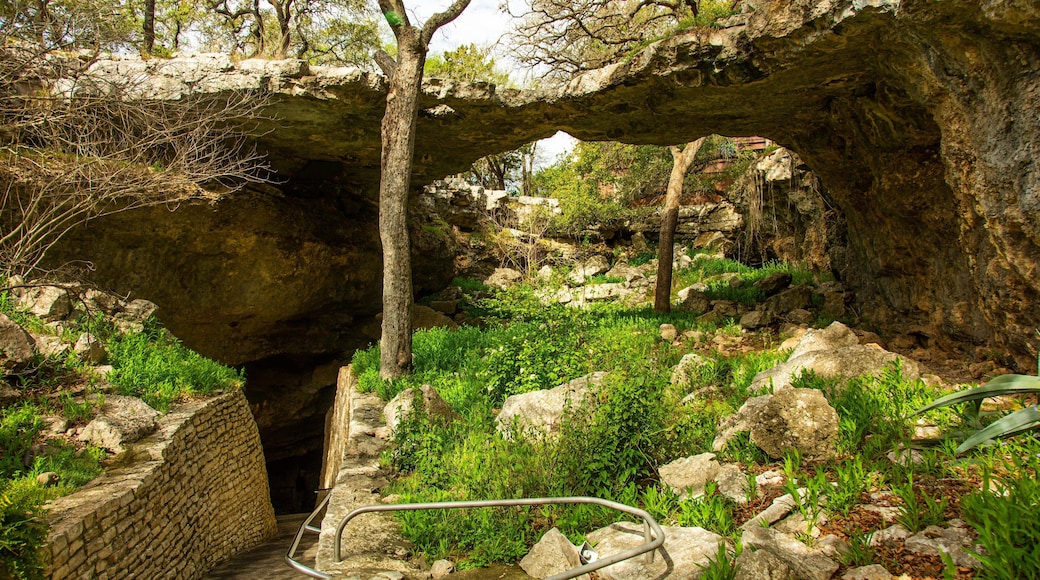 Natural Bridge Caverns which includes tranquil scenes
